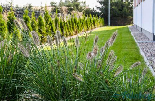 Domki Falabay - Foto 46