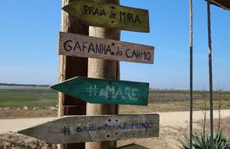 RiaEncontros- Villa T4 junto Ria e Pinhal - Foto 64