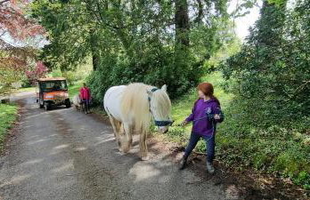 No 4 Trelawney Apartment - Onsite Bar - Restaurant - Horse Riding - Foto 55