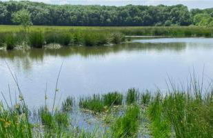 2 Bed in Doddington oc-t32214 - Foto 25