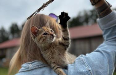 Farma Puchałowo - Foto 30