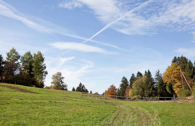 Malerische Erdgeschosswohnung - Foto 37