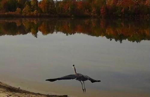 Hilltop house with awesome views - Foto 36