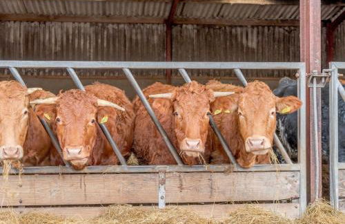 2 Bed in Leighton 77771 - Foto 16