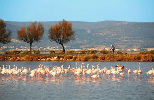 Charming 1 Bedroom Apartment with terrace air conditioning and private parking - Photo 13