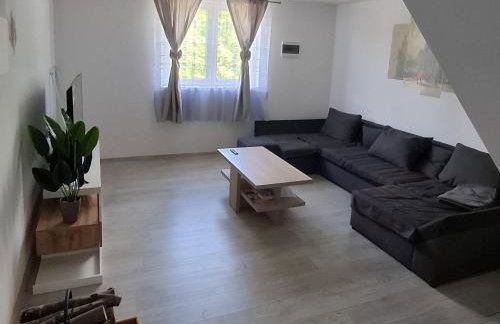 Grofova Kuća - Photo 26