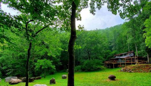 Zen River Retreat - Foto 3