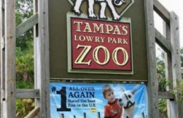 Tropical Oasis FL Pinellas Park - Foto 48