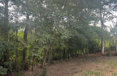 Chacara castanheira - Foto 9