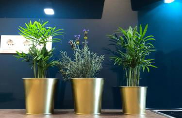 back to school (rote Schule) - Foto 34