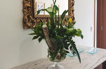 Casa Ponte Pedrinha - Foto 10