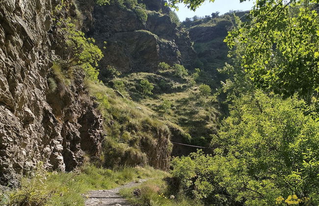 Casa Rural Arroyo de la Greda - Photo 39