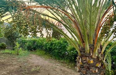 La Casuzza Dei Re - Foto 73