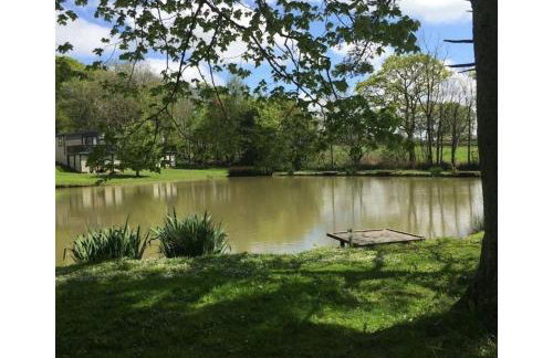 Cornish Holiday - 91 Hengar Manor - Foto 26