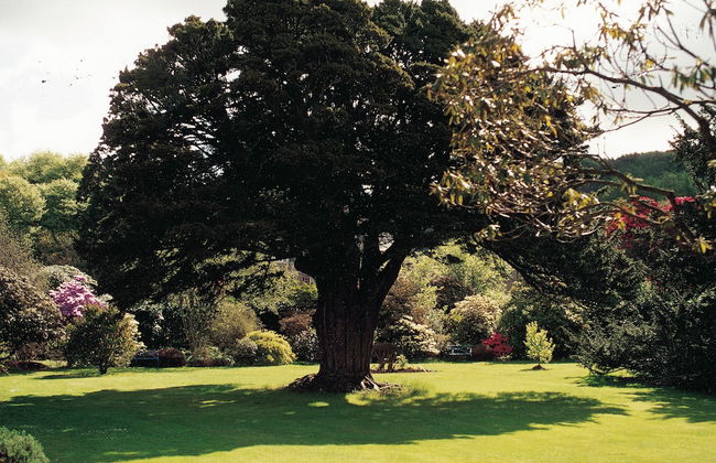 Charming Yurt in Kelburn Estate Near Largs - Photo 10