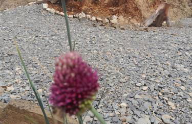 Natur Amêndoa - Foto 80