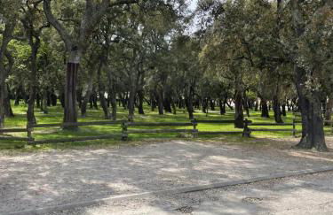 Chez Michèle - Foto 18