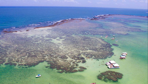 Piscines naturelles de Maragogi