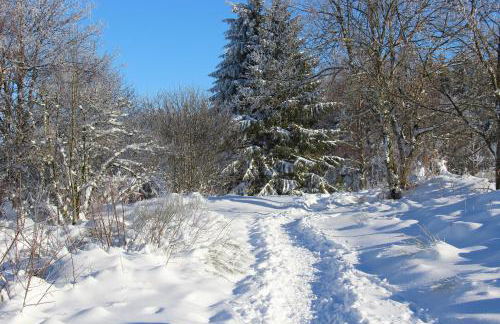 viaux-fontaine - Foto 12