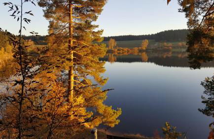 Ferienwohnung am Kirnbergsee - Photo 1