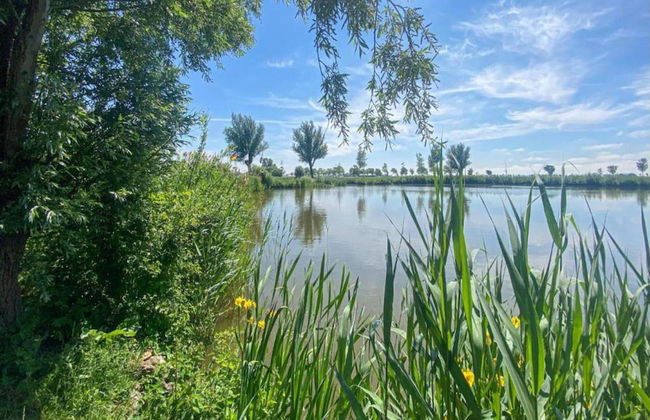 Holiday Home Tuitjenhorn Near Coast - Foto 38