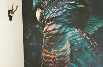 Trierer Heide - Architektur zum wohl fühlen - Foto 32