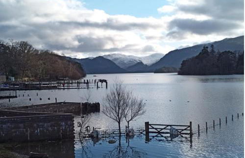 Strawberry Fields - Foto 20