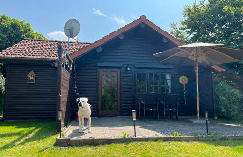 Lüttje Koje - Foto 20