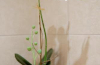 Horizons Apartments Newquay - Foto 64