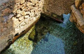 Koel Country House - Foto 49