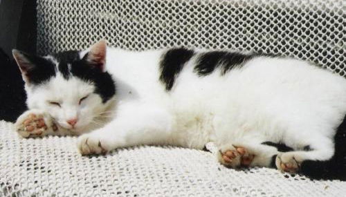 Apartment Galerie by Interhome - Foto 2