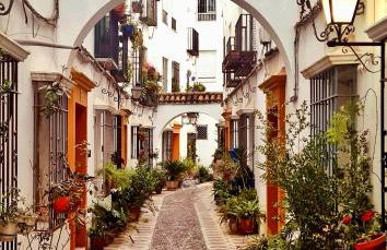 Galope Premium - Foto 28