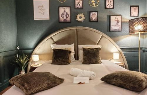 Nancy Vieille ville Stanislas - Foto 63