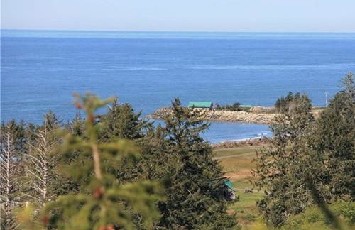 The Beach Shack #1 in Tokeland-WA - Foto 12