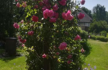 Ferienwohnung Hellriegel - Foto 24