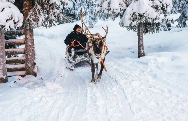Paseo en trineo de renos - Foto 1