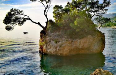 Apartman Štorija - Foto 42