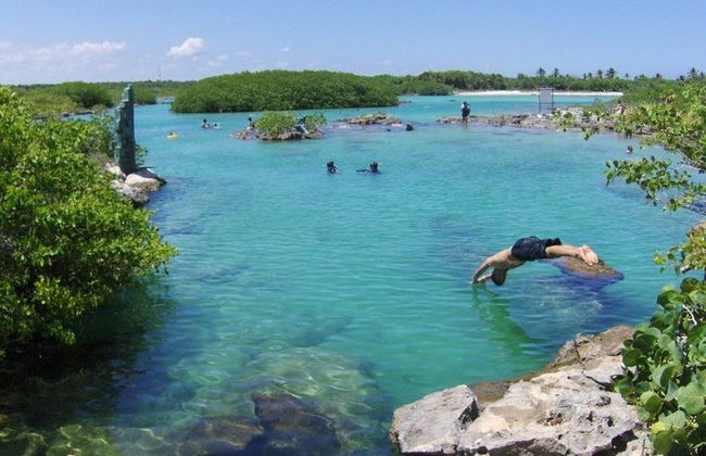 Entdecke eine erstaunliche Welt: Cenote-Erkundung und Dschungelflug. Büffet inklusive - Foto 10