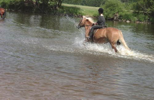 Bio-Erlebnisbauernhof Doll - Foto 13