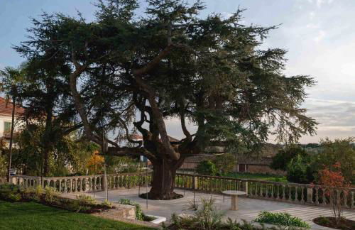 Casa do Cedro de Medelim - Foto 28