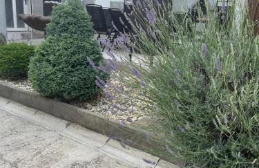 Apartmani EMA Novska - Foto 19