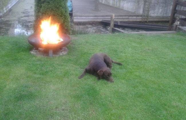 Holiday Apartment in the old Brewery - Foto 6