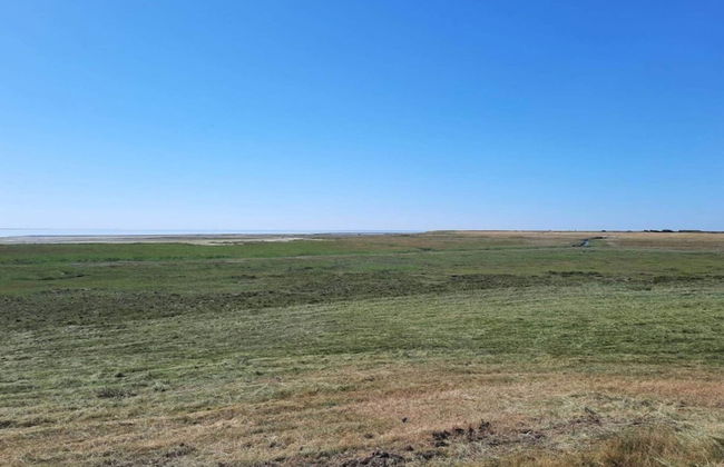 2 Person Holiday Home in Esbjerg V-by Traum - Foto 11