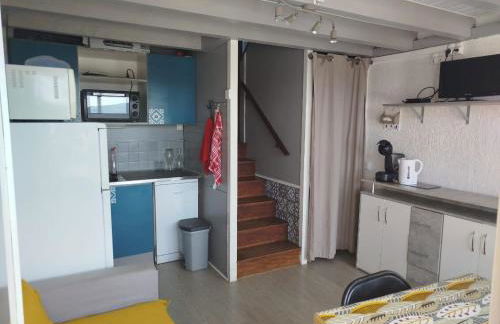 Maison 2-4 personnes, vue sur le Sancy - Foto 7