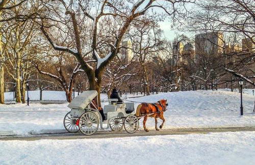 New2 York Style Stay near Central Park - Foto 18