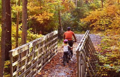 Lakefront, Pool, Hot Tub, Boats, Game Room, Pets - Foto 23