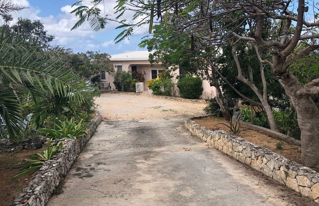 Patricks Bay Villa - Foto 18