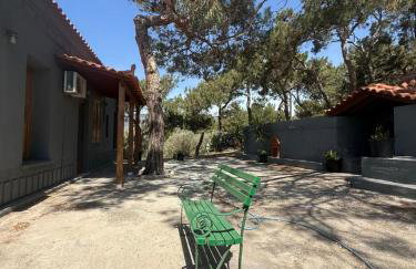 Varvayanni Villa - Foto 51