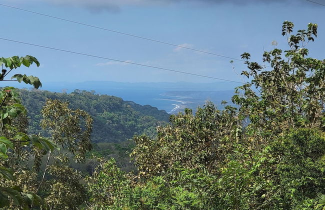 Jaco-carara 3 Bdrm Surrounded by Rainforest With Private Pool - Foto 33