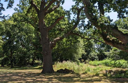 Rowan a welcoming countryside lodge - Foto 19